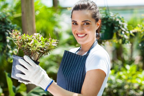 Complaint review for a landscaping project