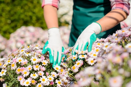 Low-maintenance artificial grass suitable for Hatchend properties
