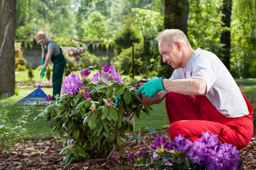 Free quote planning for a Hatchend property garden