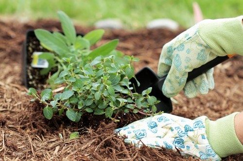 Low-maintenance planting and lawn work for a Hatchend property