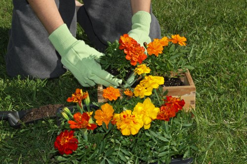 Low-carbon van used for sustainable landscaping collections