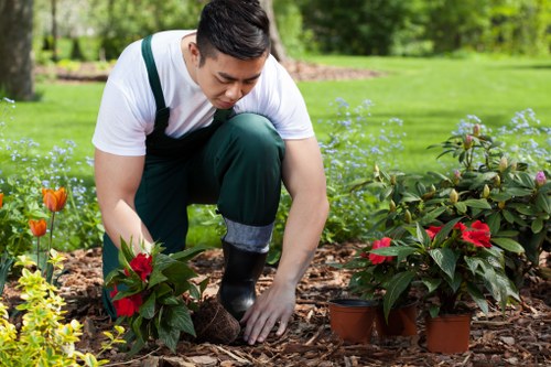Inspection of landscaping work after a complaint