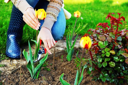 Local Hatchend garden redesign featuring paths, borders, and practical outdoor layout