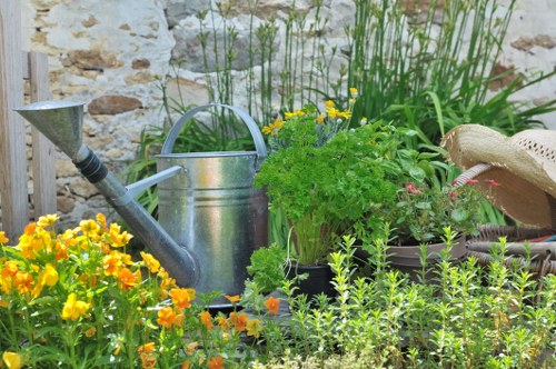 Example of front garden clearance and tidy-up