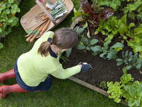 Personal protective equipment used during Hatchend landscaping work