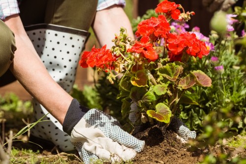 Safe and professional landscaping service standards in Hatchend